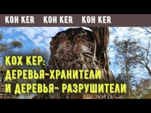 Кох Кер, ч.1: деревья-хранители и деревья-разрушители