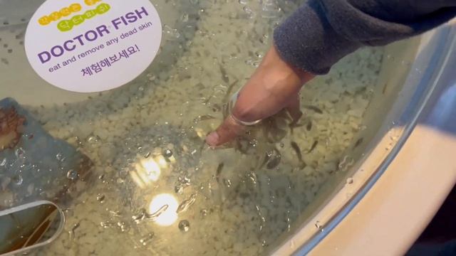 Exploring the Coex Mall, Seoul ?? смотреть онлайн