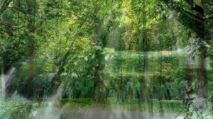 Магия четырёх стихий