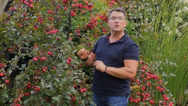 РусРоза3