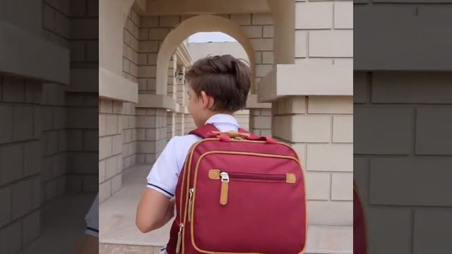 Рюкзак с тройными колесами смотреть онлайн