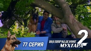 «Возвращение Мухтара — 2». 77 серия. «Плохое алиби»