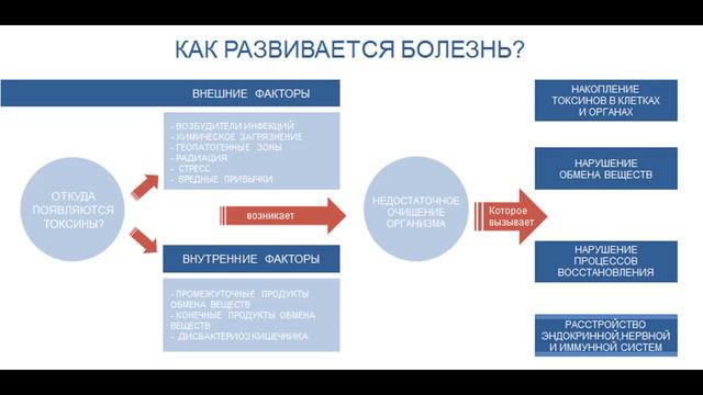 Mageric BioTest PRO|Функция AutoModel