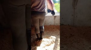 Подстилка для кур с живыми бактериями.Греет? пробуем рассказываем всю правду!