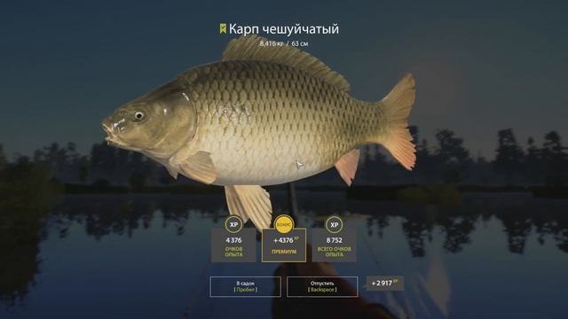 Карп и Амур! • Фарм Серебра • Наловили полный садок • Озеро Медвежье • Русская Рыбалка 4 #64 смотреть онлайн