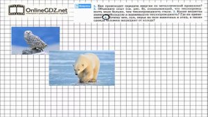 Вопрос №4 §4. Теплопроводность - Физика 8 класс (Перышкин)