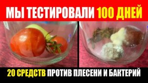 Прошло 100 дней. Тест 20 средств против плесени и бактерий. Помидоры На Зиму