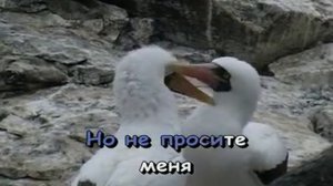 Ах что за луна