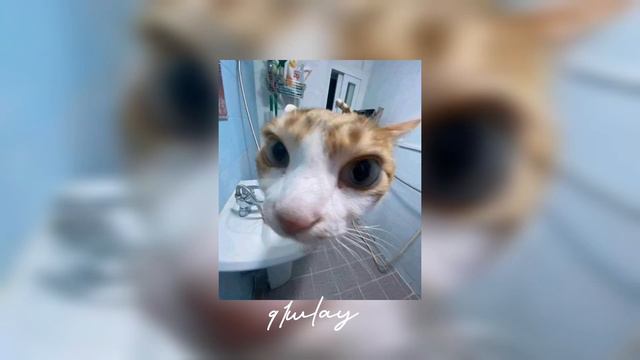 тати малышка соу ями speed up