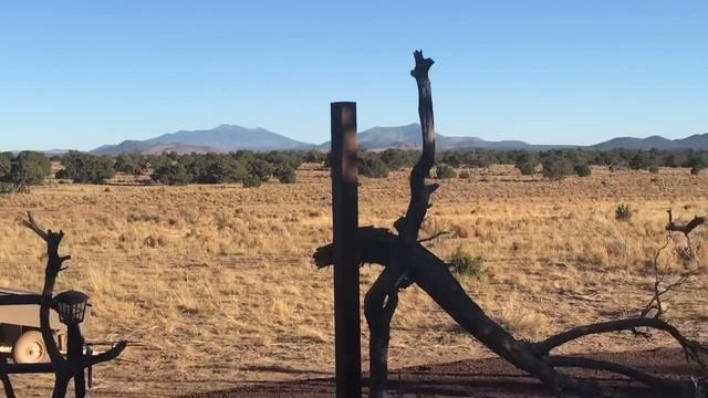 Rescuing panda, the property, the big announcement! смотреть онлайн