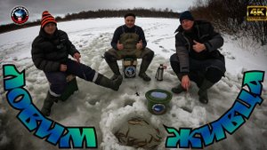 Охота на Живца!!!Сорога и Окунь на безмотылку и мормышку с живой подсадкой!!!(Опарыш,мотыль)