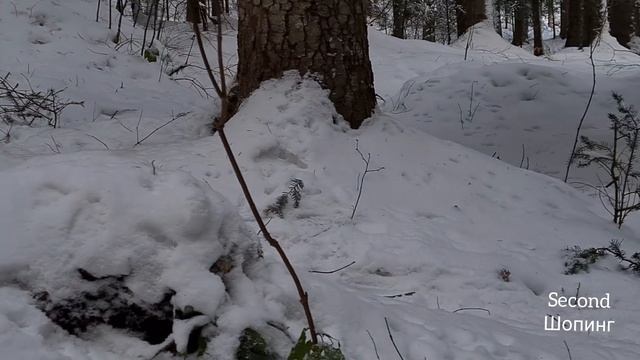 СЕКОНД ХЕНД шерсть, кружево, кожа, кашемир, белье/ східниця: белки, утки, кормушка. Duck. Squirrel