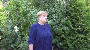 2 САМЫХ ДОСТУПНЫХ МЕТОДА ЧЕРЕНКОВАНИЯ РОЗ. ПРИГЛАШАЕТ МАЭСТРО МАЖОР