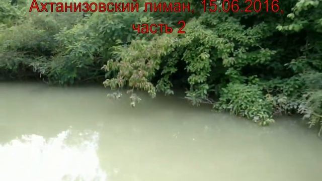 Phoenix 530HT. Краснодарский край, Темрюкский район, Ахтанизовский лиман 15.06.2016, часть 2