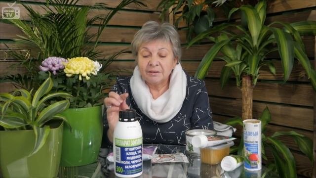 Вредители и болезни сада ? Борьба с вредителями ✓  Hitsadtv