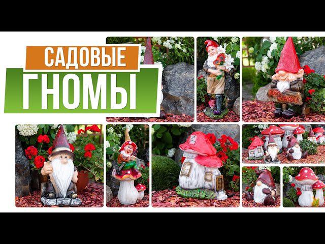 Садовые гномы ✿