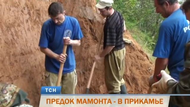 В Пермском крае ученые нашли кости предка мамонта