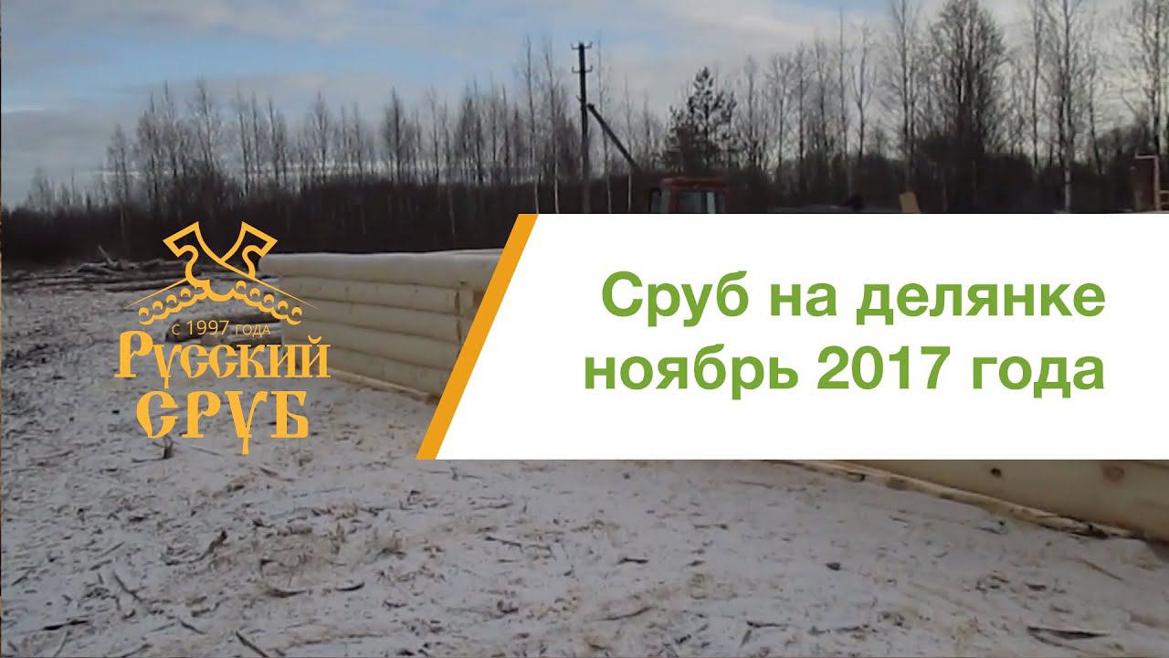 Сруб 6х4 на строительной площадке №2 в городе Велиж. смотреть онлайн