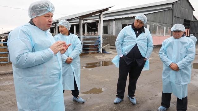 6. Заменитель цельного молока. Видео-урок для фермеров-молочников