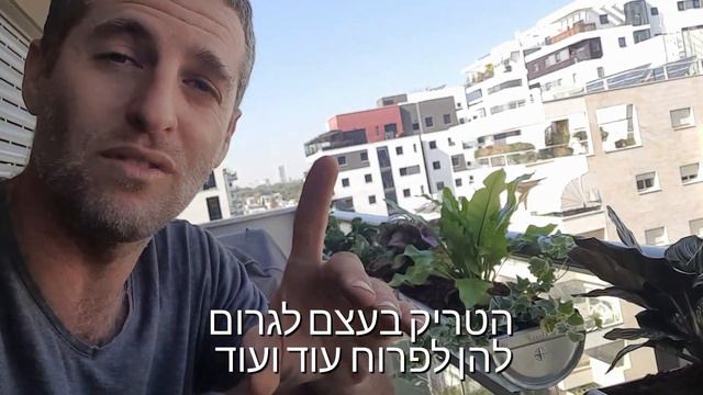 גונגל אורבני במרפסת מוצלת смотреть онлайн