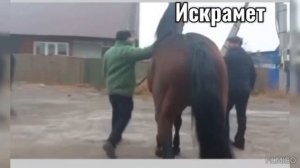 Искрамет,,, Андреичи