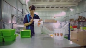 Презентационный видеоролик о компании Пластик репаблик