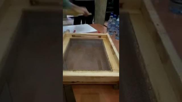 Донный пыльцеуловитель. смотреть онлайн