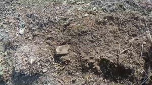 Металлоискатель TIANXUN T-44Pro С катушкой TX 950 Полевые испытания