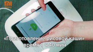 Индукционная мультиварка с wi-fi. Полтавская каша на молоке в Xiaomi