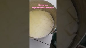 Делаю домашний сыр. Волшебный ингридиент - ПЕПСИН
