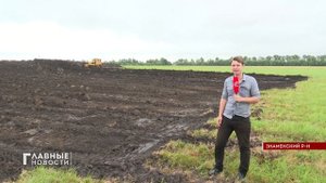 В Орловской области появится новая молочная ферма