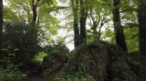 Blarney Castle and gardens, Ireland