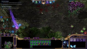 Starcraft 2 | Командир Воразун, часть 2: Излучатели пустоты | Гайд