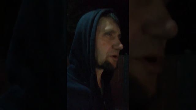 "Вяз" К. Романико