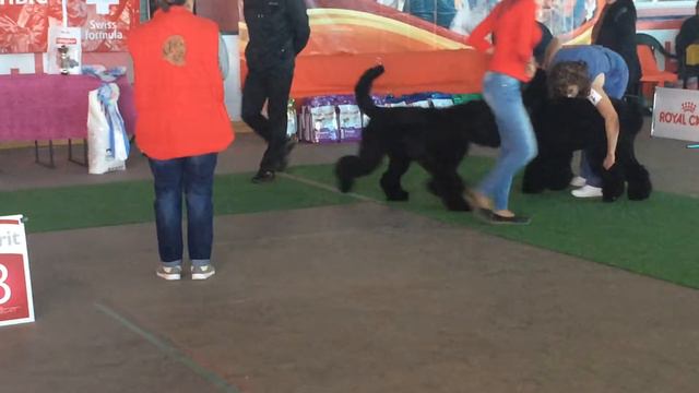 монтана и маню смотреть онлайн