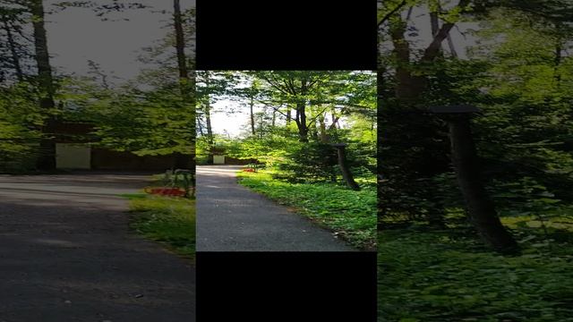 Переделкино. Дом-музей Пастернака