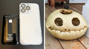 Фактория - Фото, которые тебя удивят (часть 159)