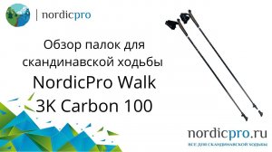 NordicPro Walk 3K Carbon фиксированные палки с оптимальным соотношением цена/качество
