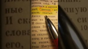 НОВЫЙ ЗАВЕТ?АПОКАЛИПСИС.ВСАДНИК НА БЕЛОМ КОНЕ В БЕЛОМВИССОНЕ#Великий Гончар#Грядущий царь
