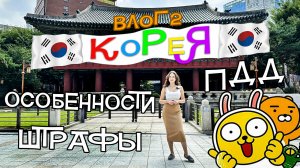 Как Корея устроена изнутри! ПДД, штрафы и интересные особенности городского движения!