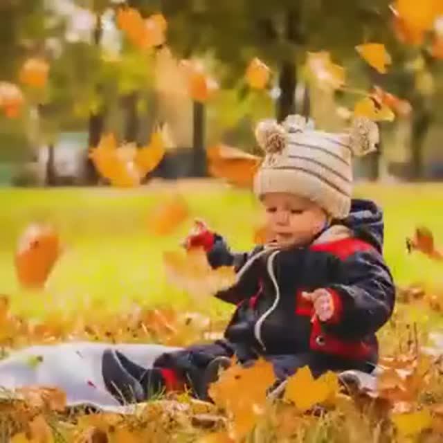 Моя осень - Анатолий Гетманец смотреть онлайн