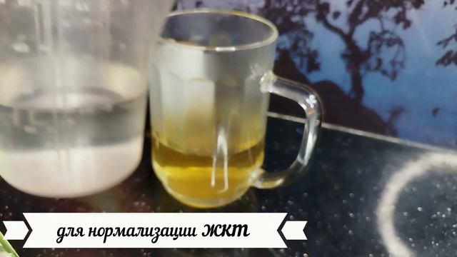 МОЖЕТ ЛИ ВАШ ВОЛНИСТЫЙ ПОПУГАЙ ПИТЬ ЧАЙ, ОТВАР?