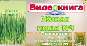 Евгений Агафонов Видео-книга "Живая Пища№1", Глава 5: "Cуть, и смысл технологии" (видео 62)