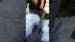 ошибки при монтаже дренажной системы. никогда не заводите ливневку в дренаж.
