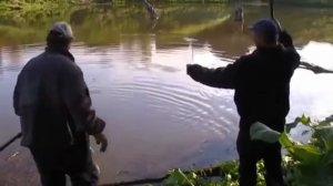 Хороший клев карася
