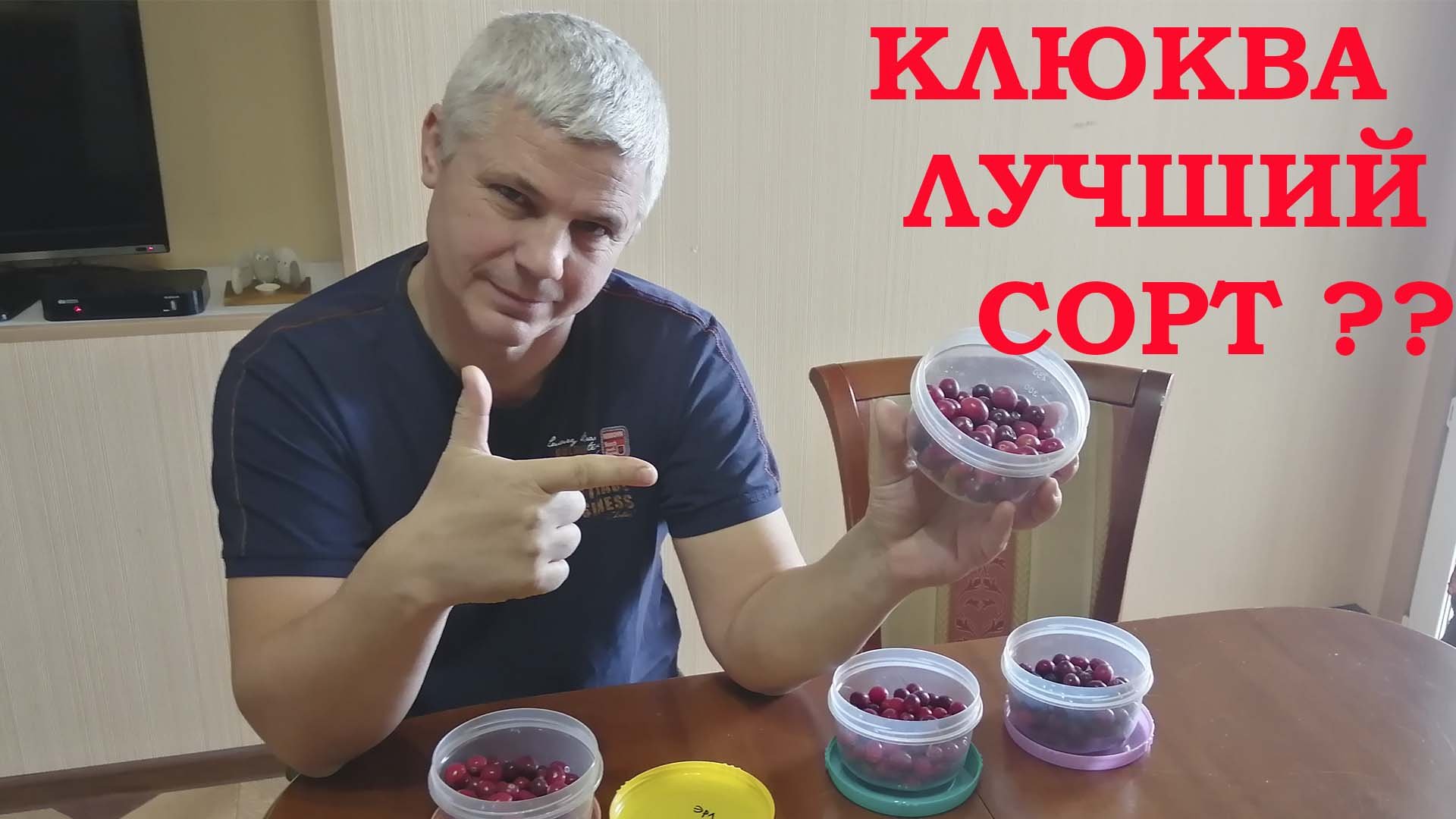 Дегустация крупноплодной садовой клюквы!!! смотреть онлайн