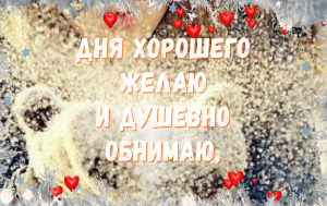 Самый Добрый День! Музыкальная Открытка!