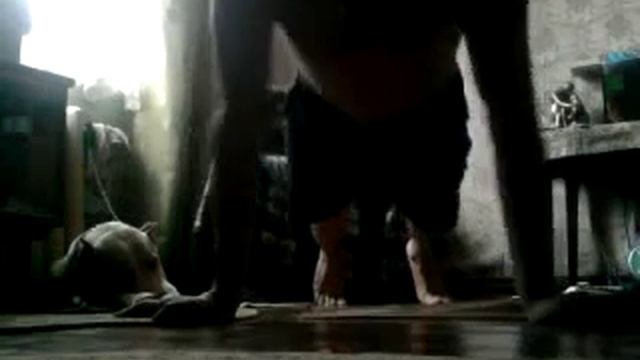 Виды отжиманий от пола смотреть онлайн