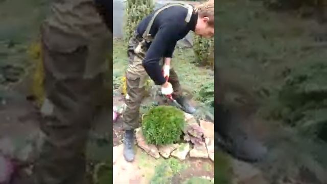 Стрижка туи(топиари)_Ландшафтный дизайн участка смотреть онлайн