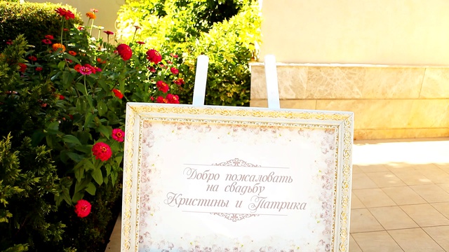 Свадебный клип SDE 19.09.2015